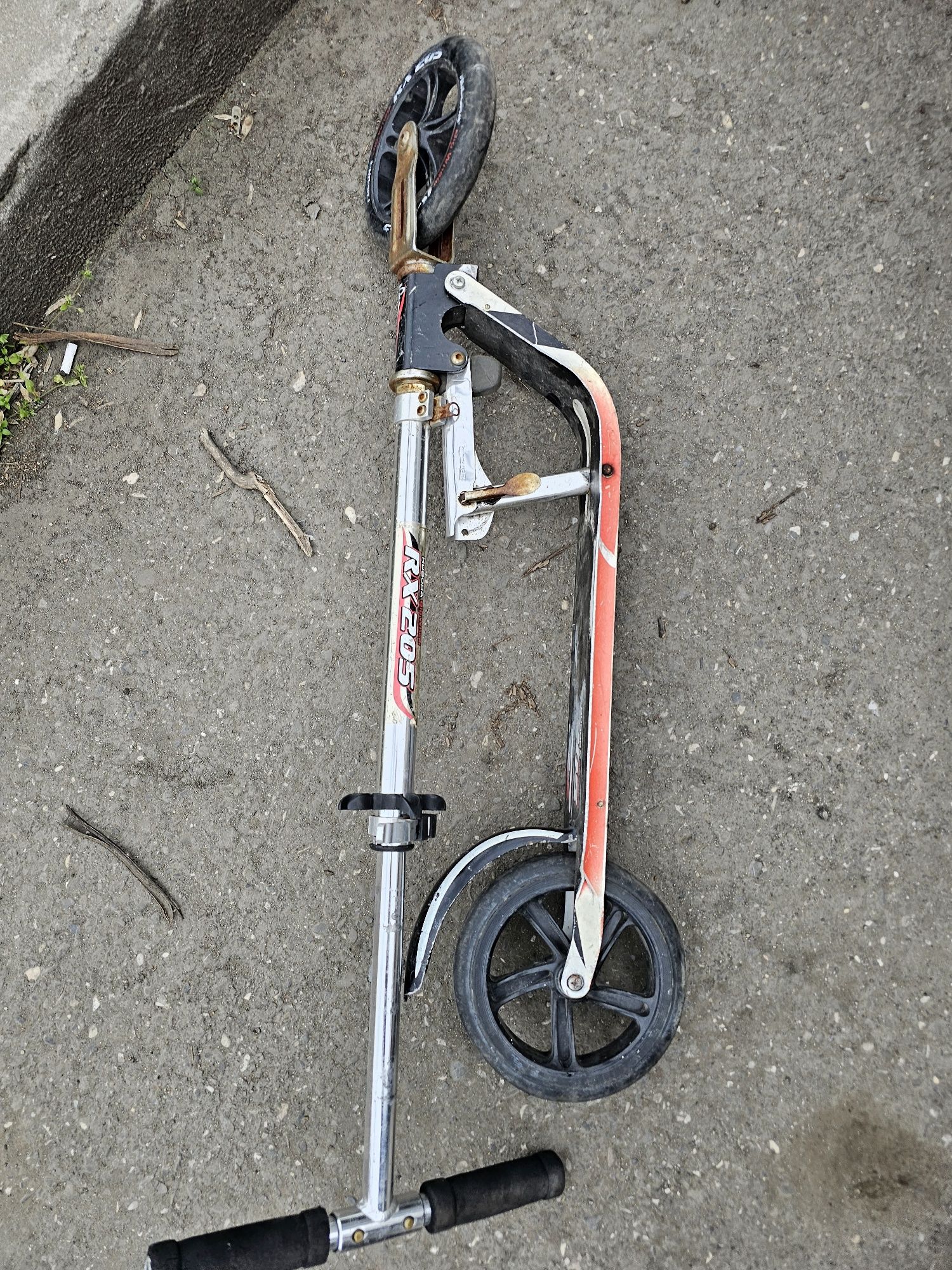 Trotineta trotineta