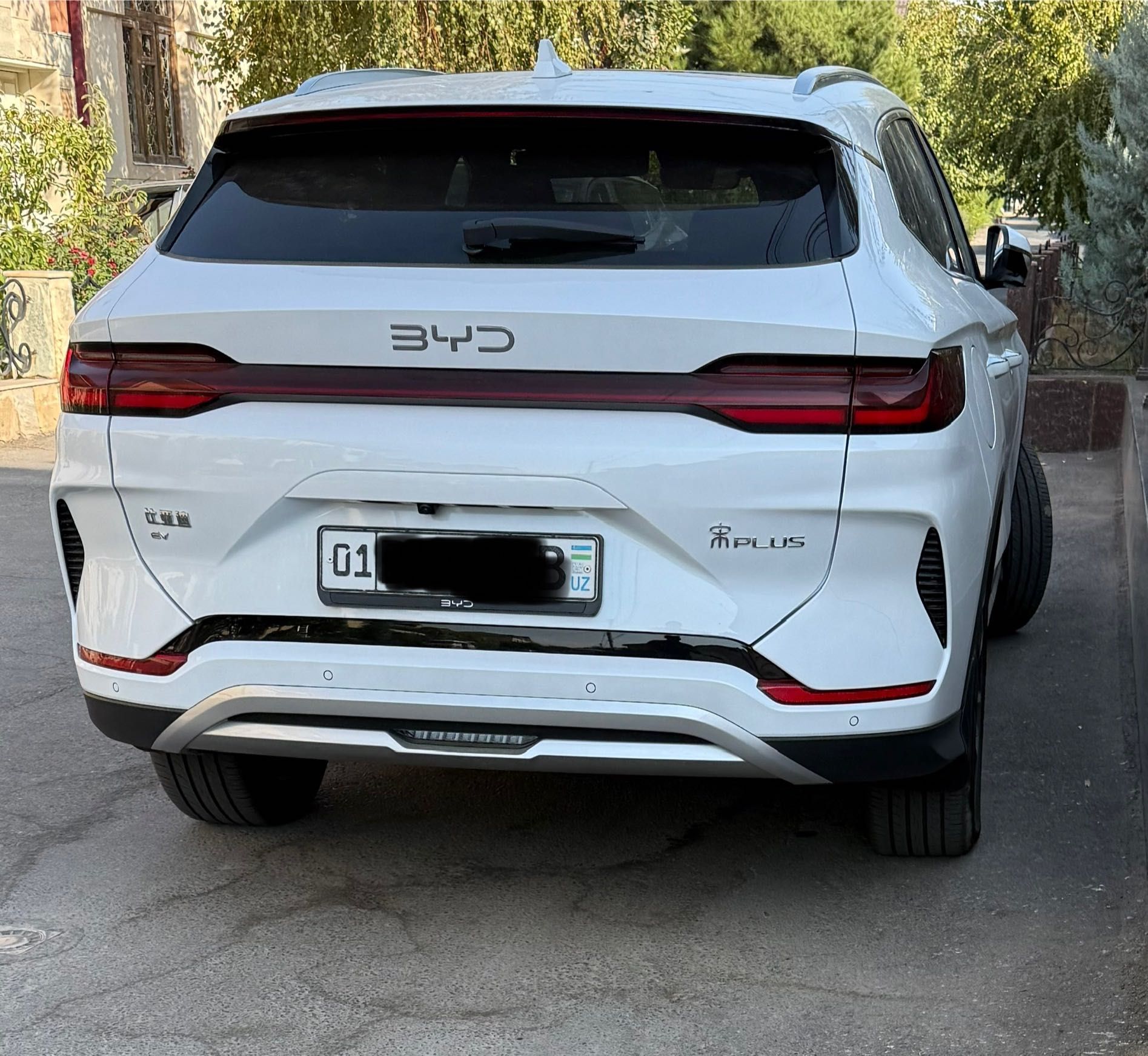 BYD chempion 24/25 рестайлинг