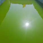 Intretinere piscine
