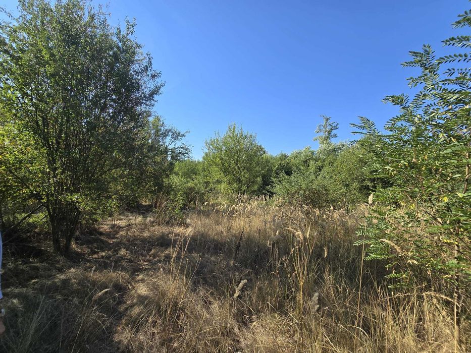 Teren vanzare Ciolpani / Luparie