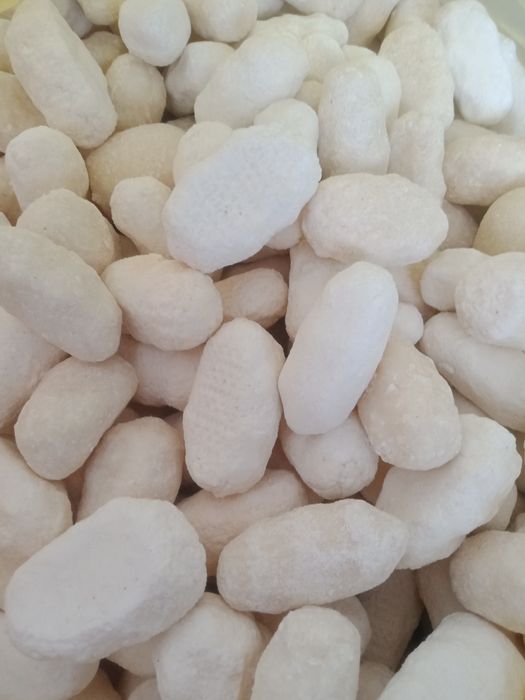 домошный курт сатылады