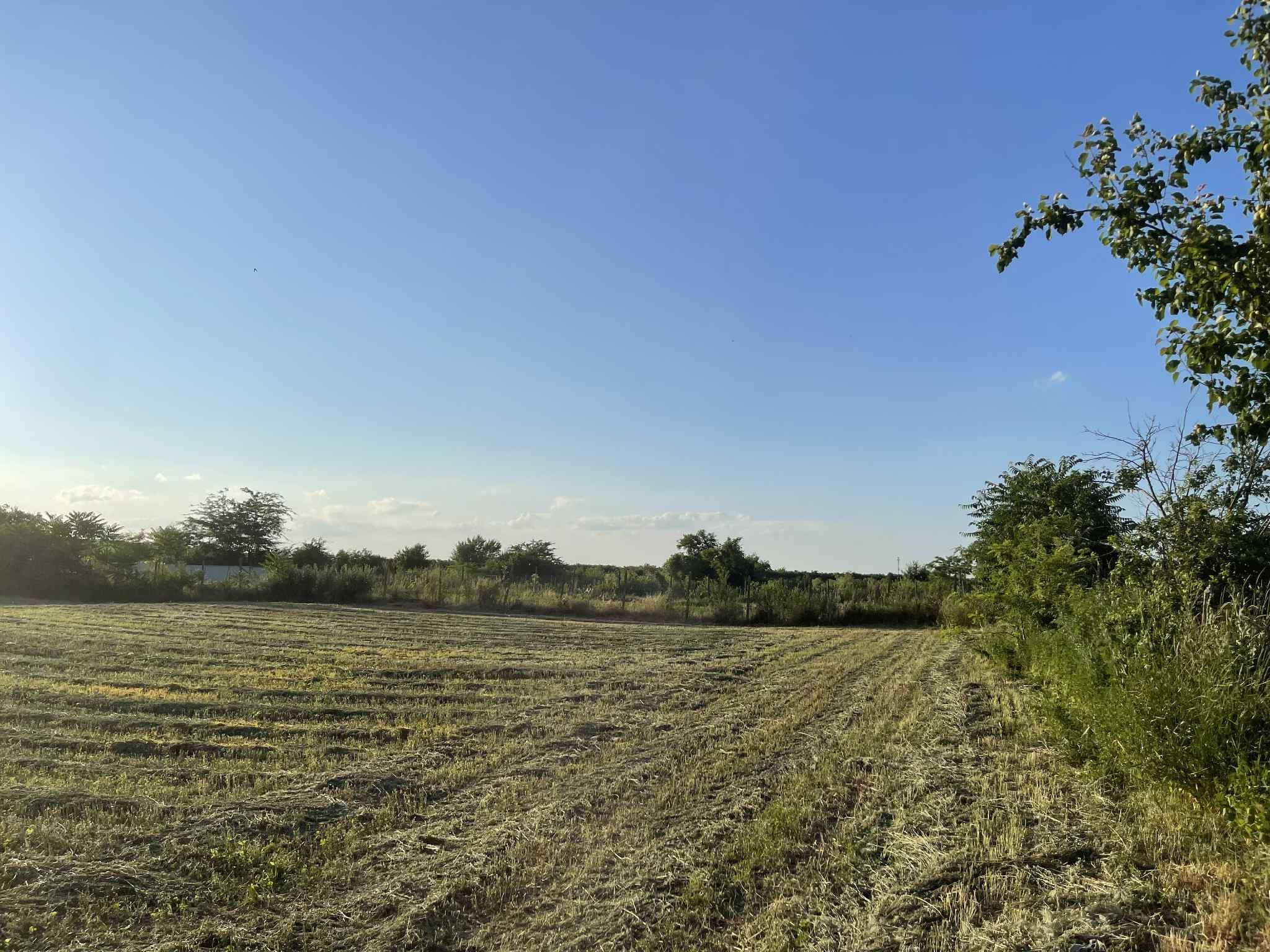 Teren intravilan 2.100 mp, Lunca Banului – cu acces direct din drum!