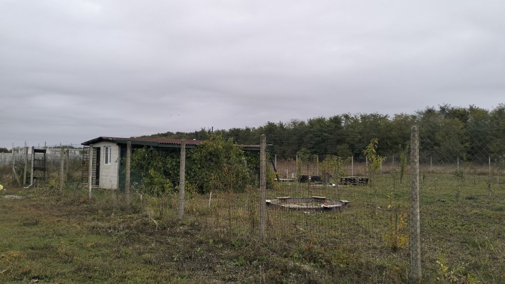 Vând teren Fundulea