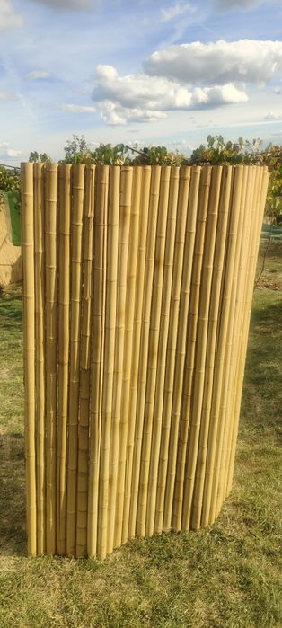 Vând bambus pentru decor, 180x180