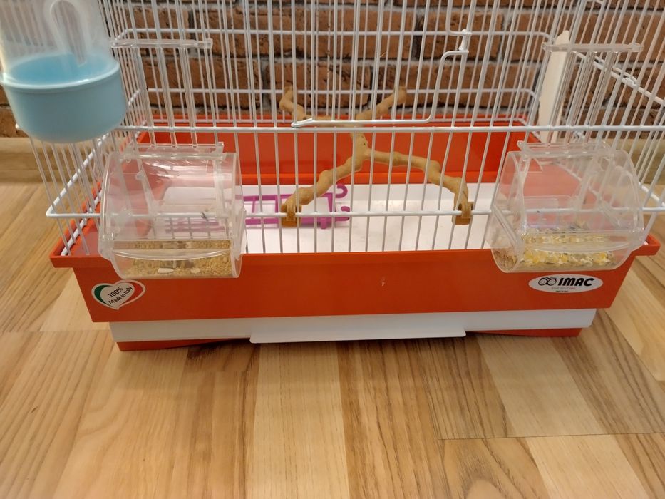 Colivie papagali talie medie