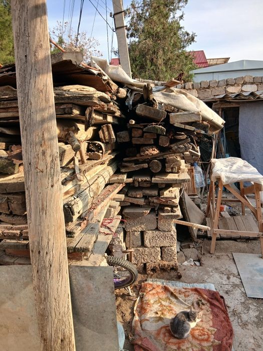 Утин йоки ломбозга тахта