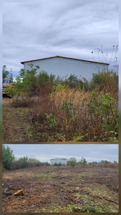 Servicii complete cosire defrișare și eliminare a ambroziei tocare