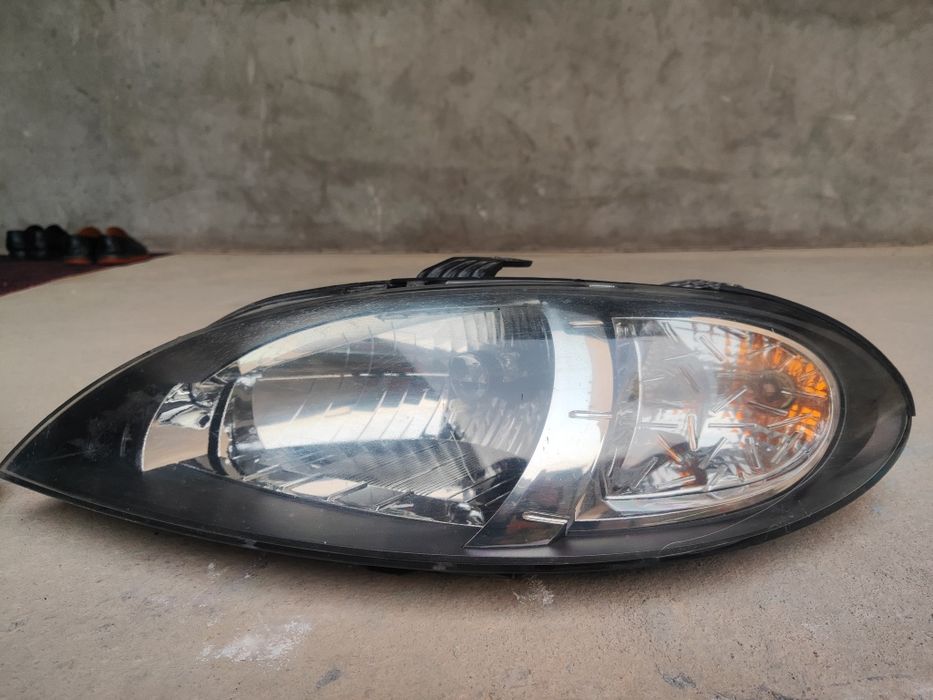 Gentra fara arginali