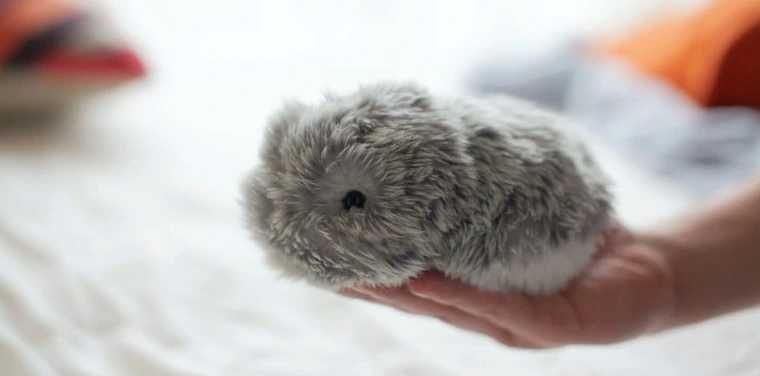 Moflin - питомец с ИИ и эмоциями