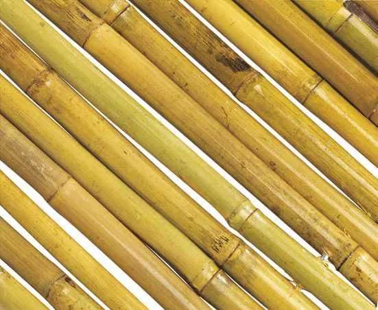 Колчета от бамбук за укрепване на домати , огради