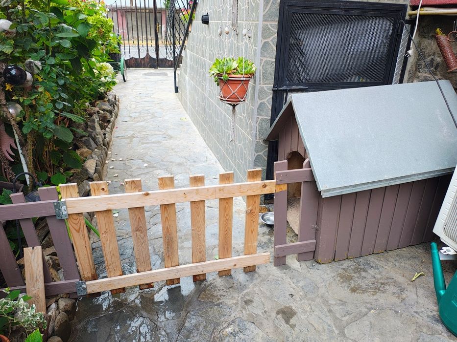 Casa de lemn pt cățel