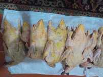 Продаем мясо утки