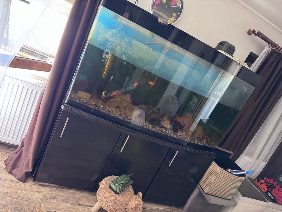 Vand acvariu 600 L