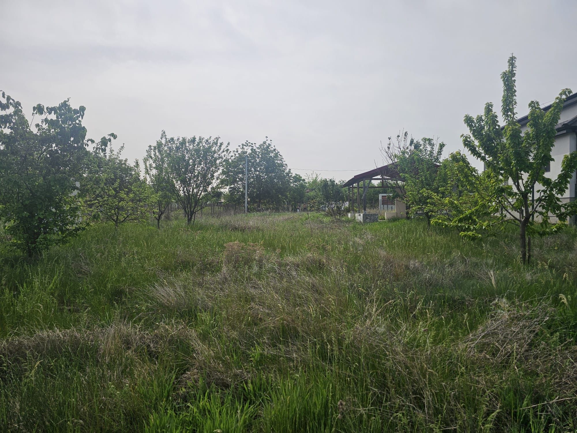 Vând teren La Dunăre sat Vrancea