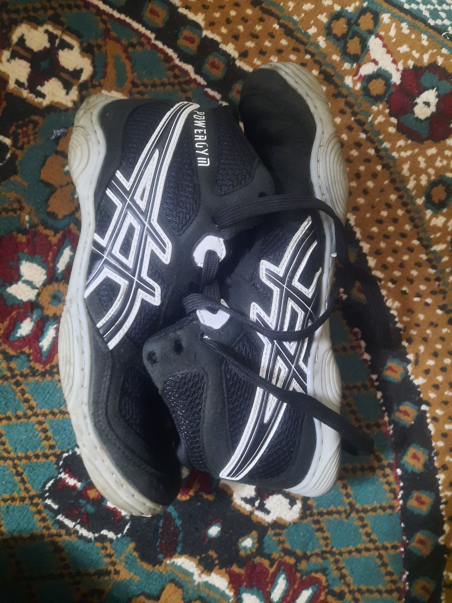 Powergym asics poyabzali