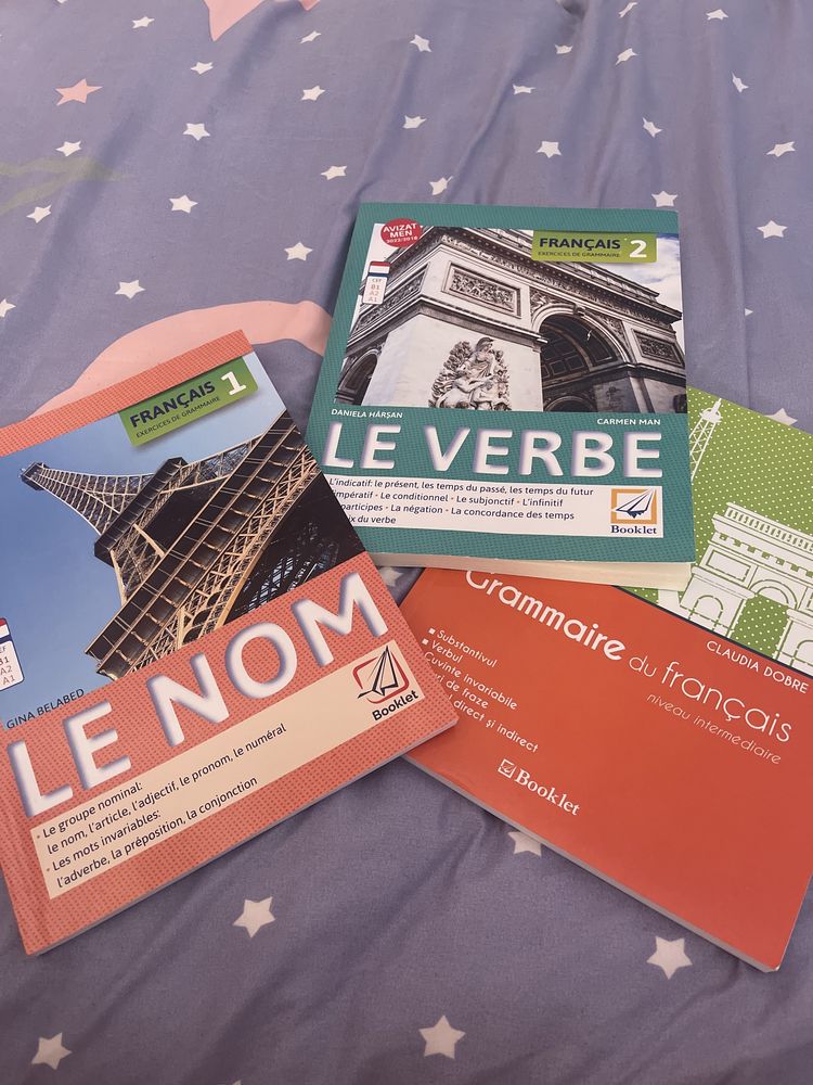 Le nom, le verbe, grammaire du francais