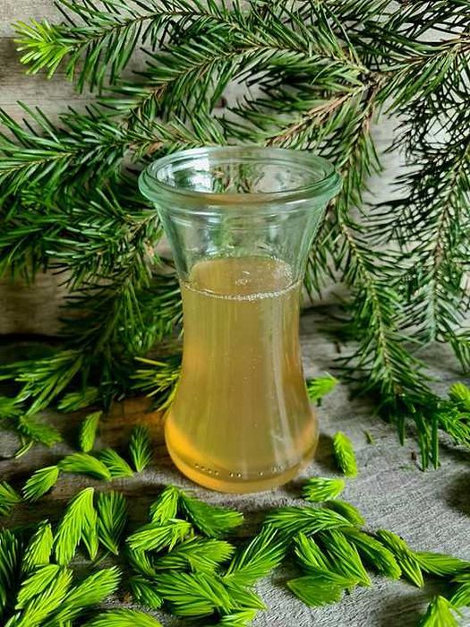 Sirop din muguri de brad macerat si procesat la rece