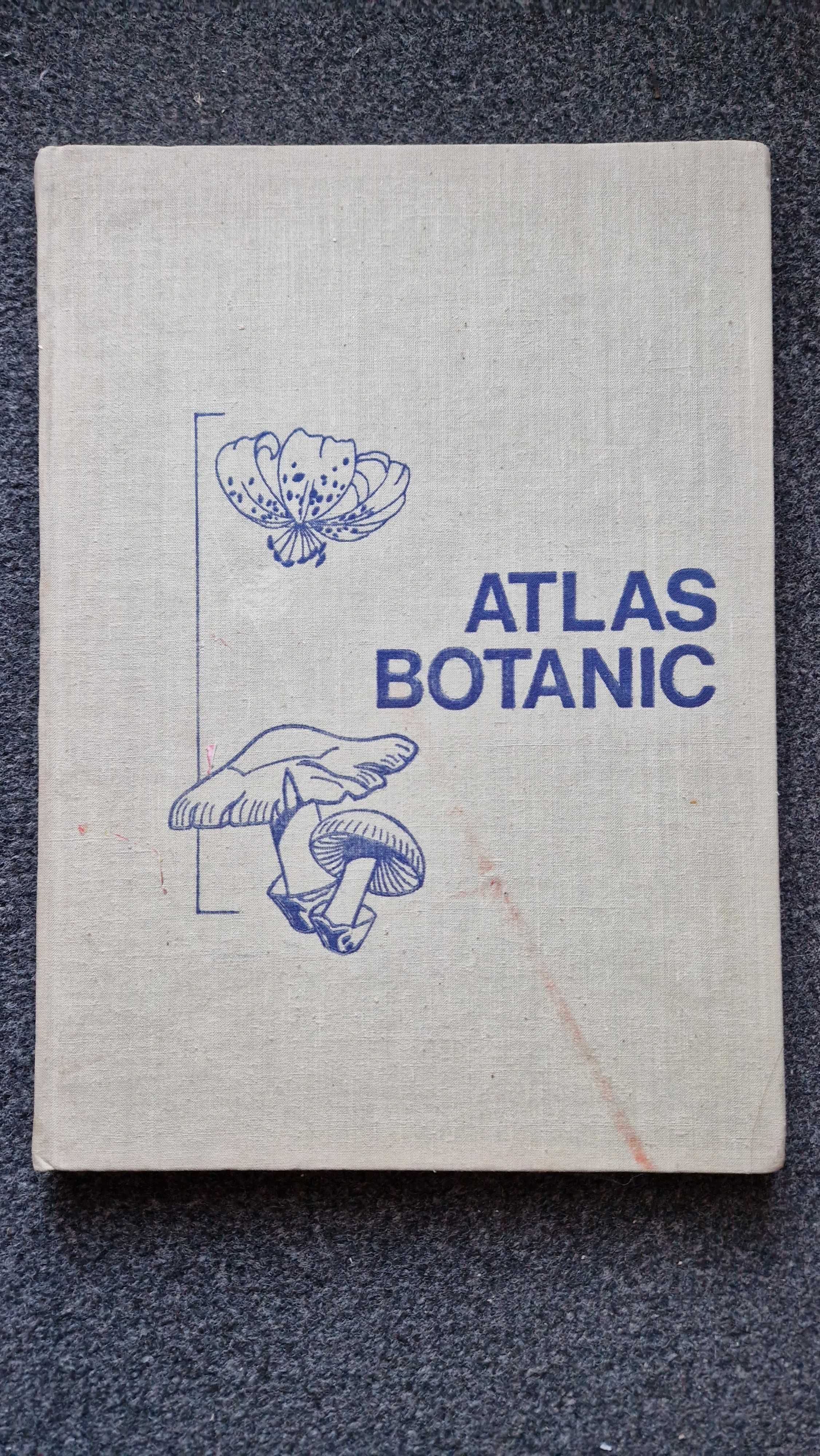 ATLAS BOTANIC - Popovici, Moruzi, Toma