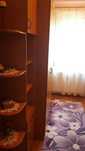 Caut colega de apartament vis-a-vis de Lotus