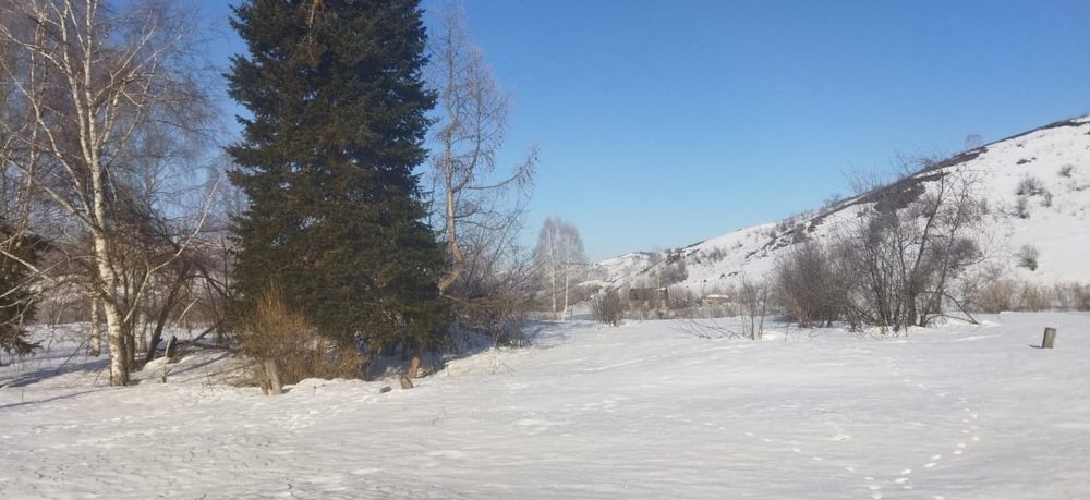 Продам землю 20 соток
