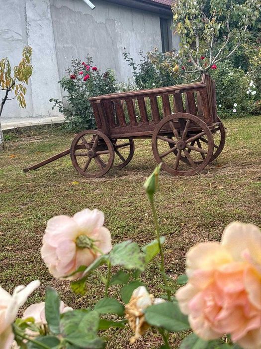 Car Decorativ pentru gradina