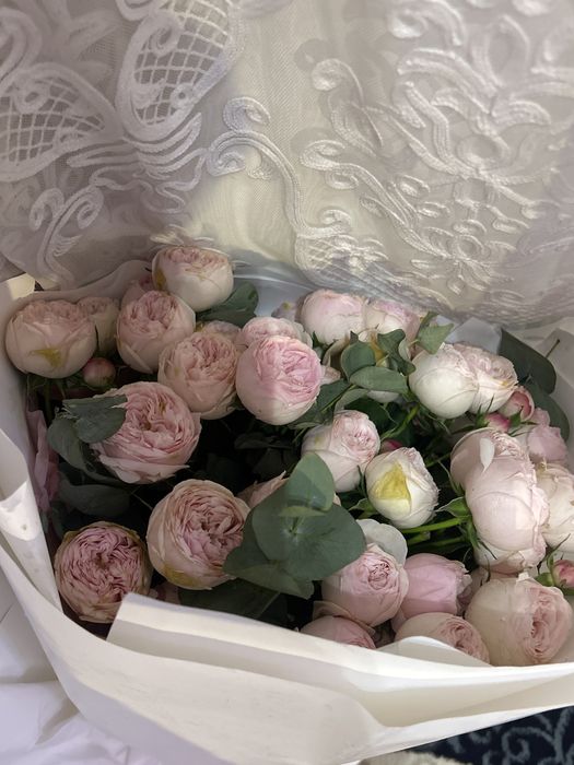 Свежий гул,арзан бағада