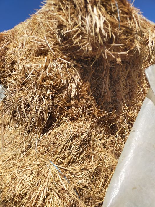 De vânzare baloți de lucernă amestecată cu fân 80% lucernă 20% fân