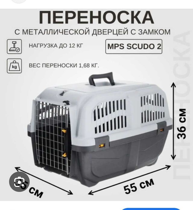 Превозвач голям за домашни любимци,  Италия