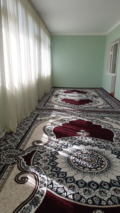 Mirobot shoxmed sentr.3/6/9. 165kv