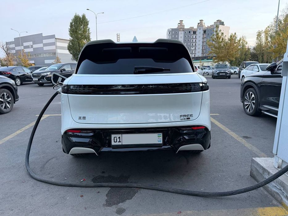 Voyah free 210 тали