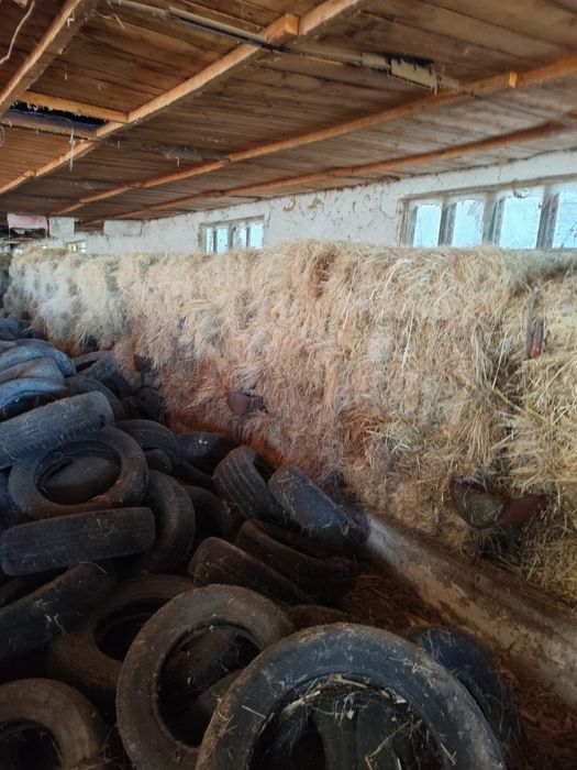 Vând baloți paie și fan