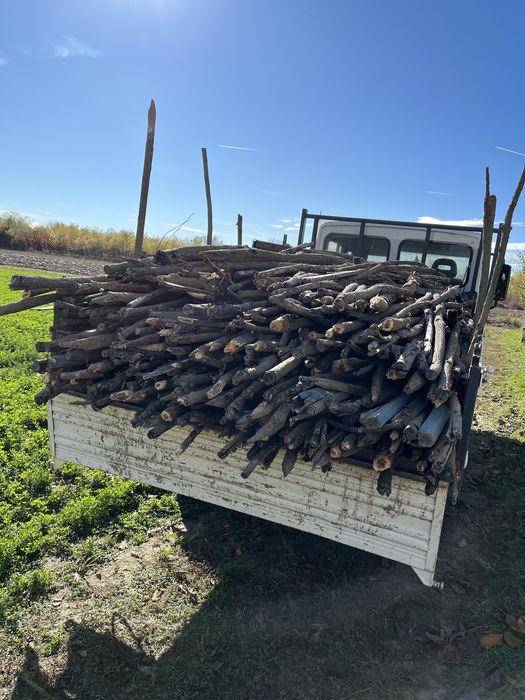 vand lemne uscate mai multe sortimente