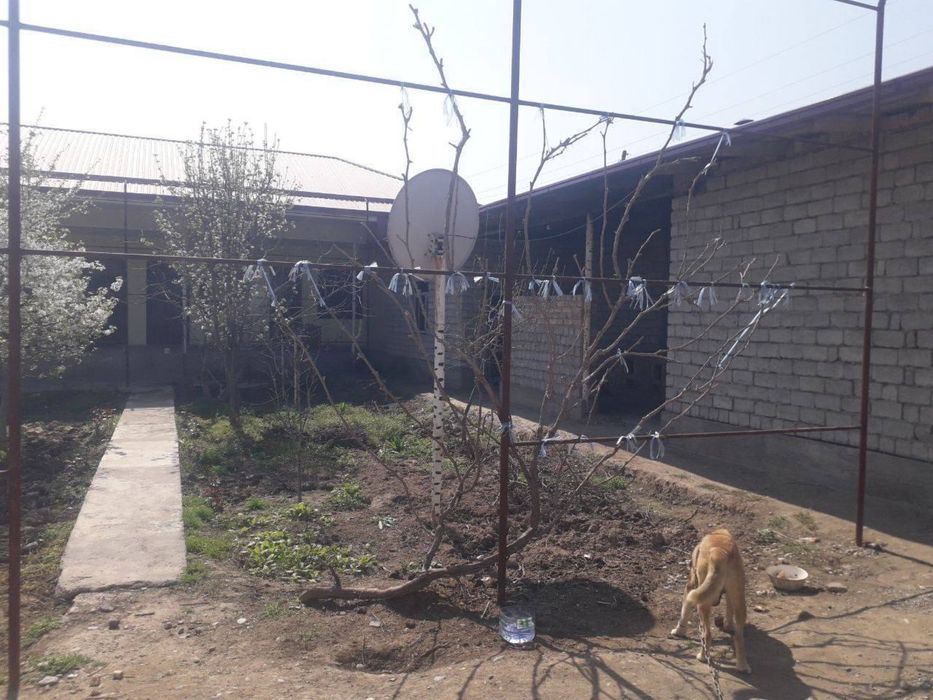 Xovli 6 sotix, yashashga 100% tayyor, issiq-sovuq suv, konalzatya bor