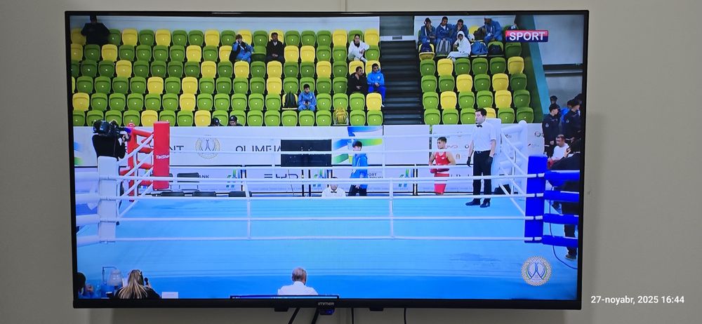 Immer televizor 43 dyum