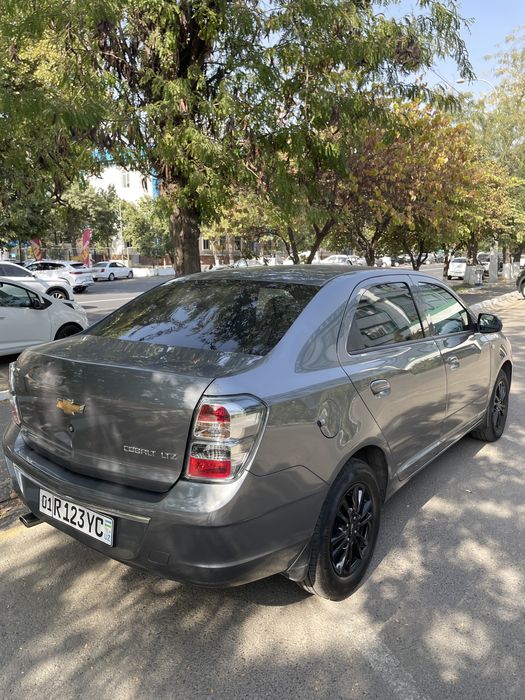 Cobalt Кобальт Midnight