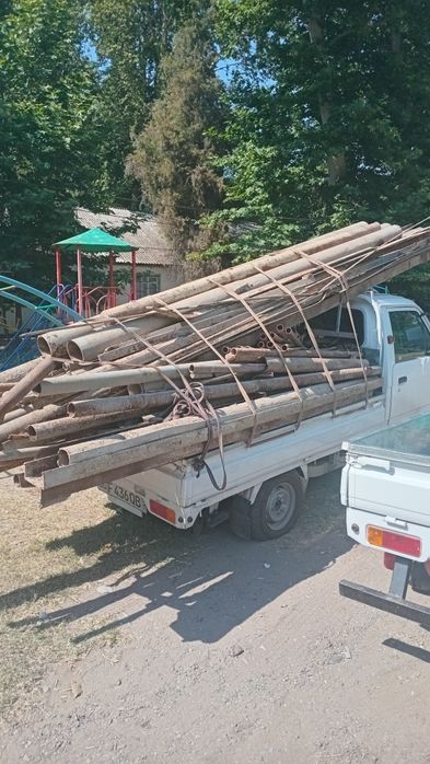 Metallom Metal Mettalom 10000