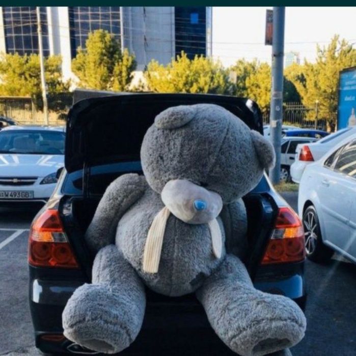 Teddi ayiqlar /Тедди Айиклар 30sm 3metrgacha