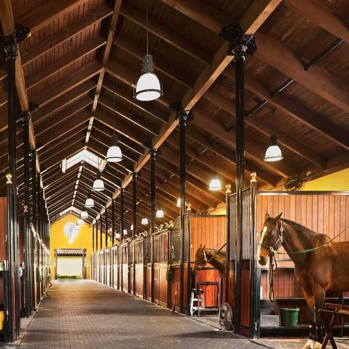 Продаю шикарную ферму
Которому нет аналогов в Узбекистане
Туйтепа