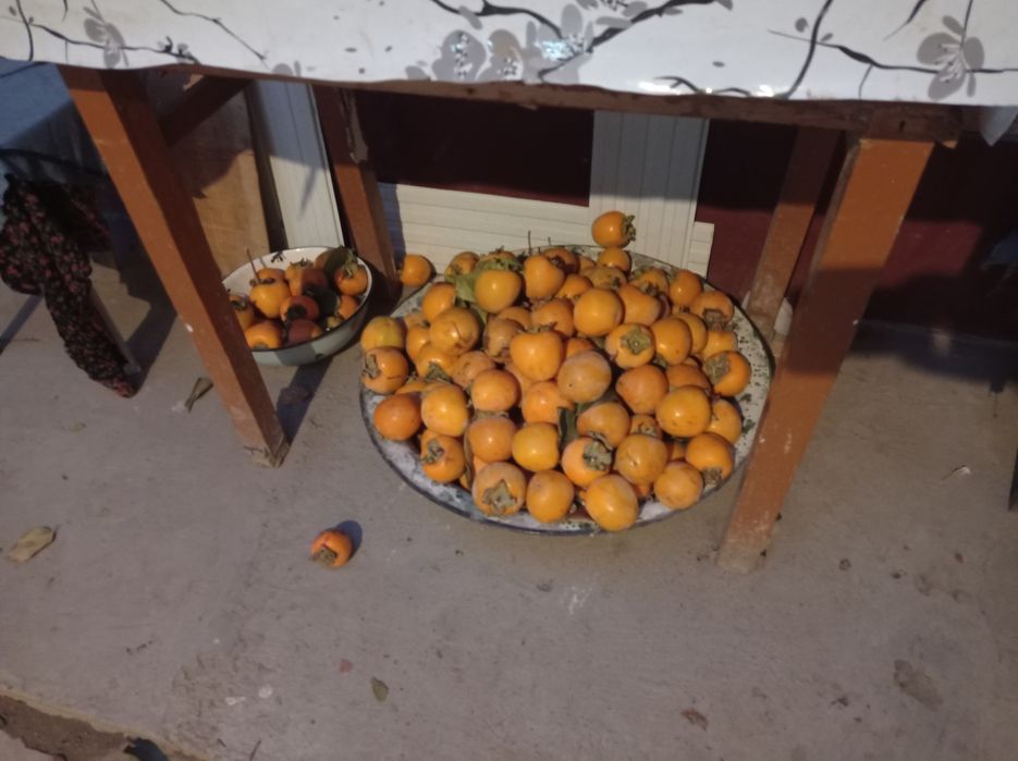 Продам свою хурму.