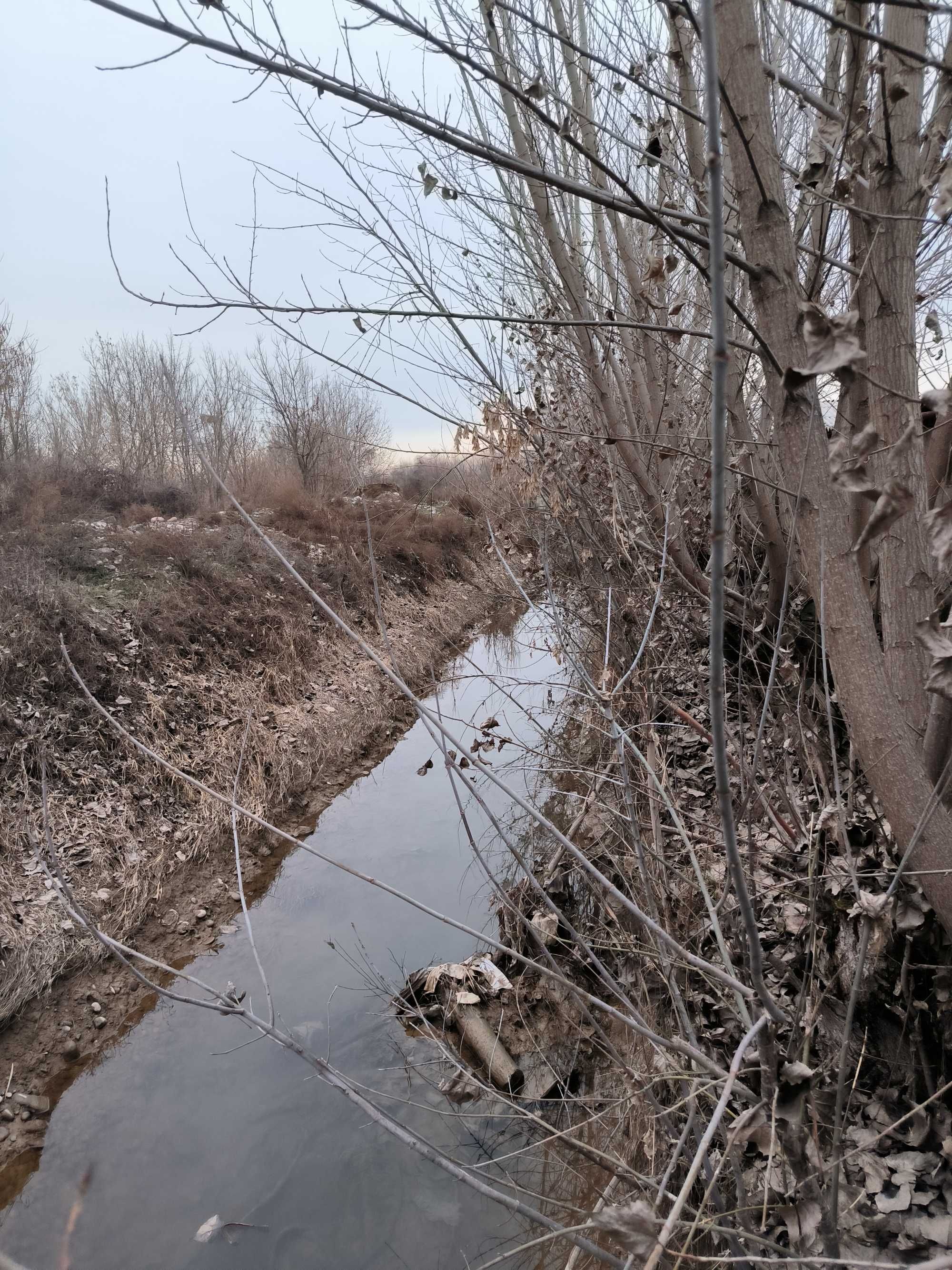 Tashlak, Surum, Quyichirchiq tumanida hovli sotiladi.