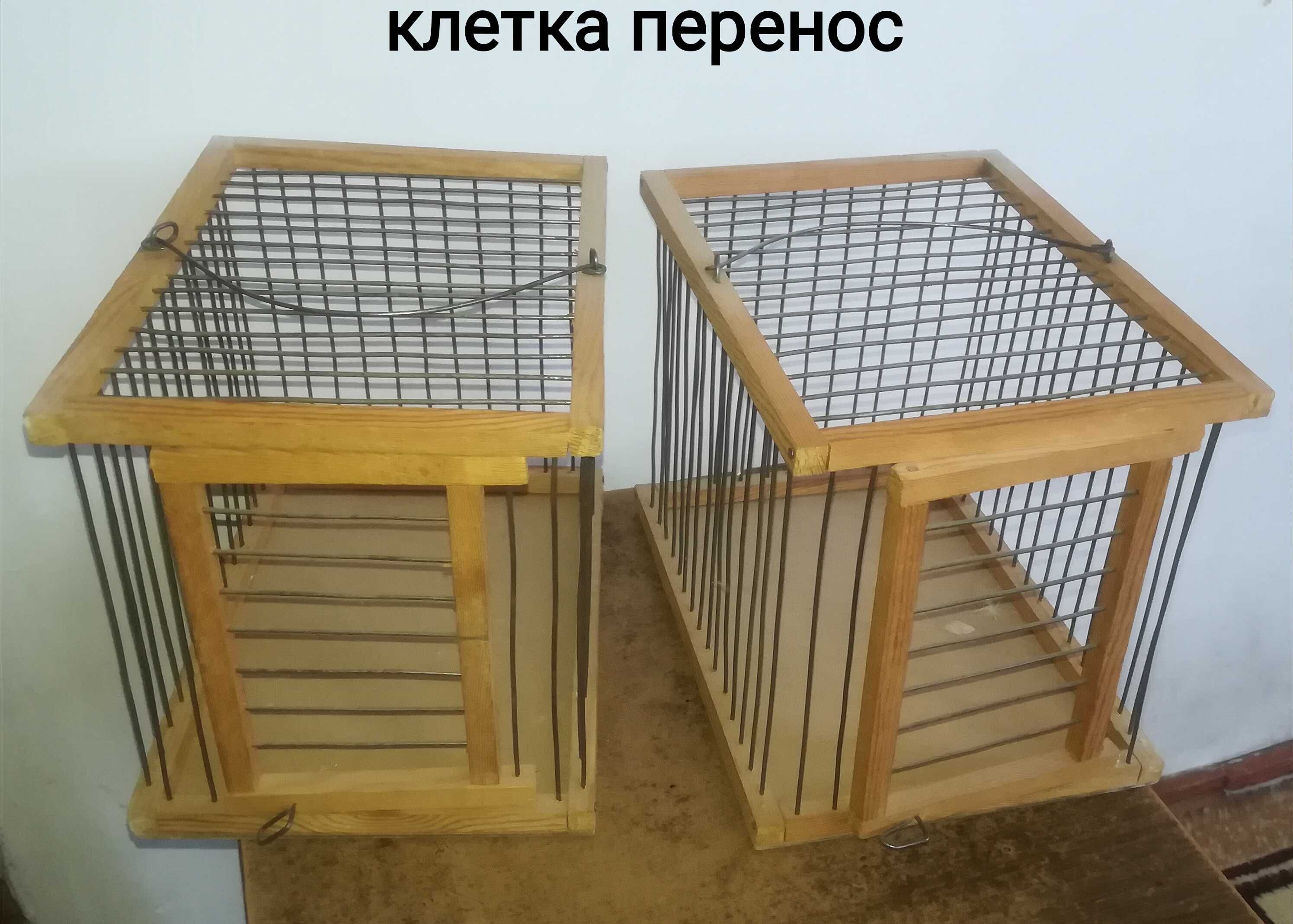 Клетка перенос .