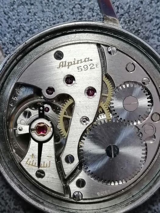 Alpina standard swiss