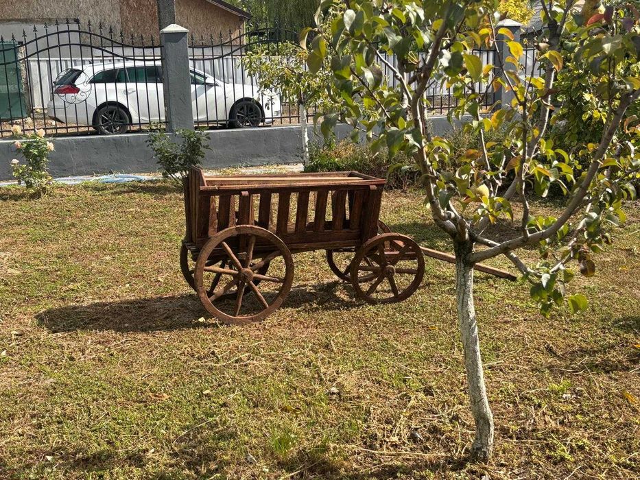 Car Decorativ pentru gradina