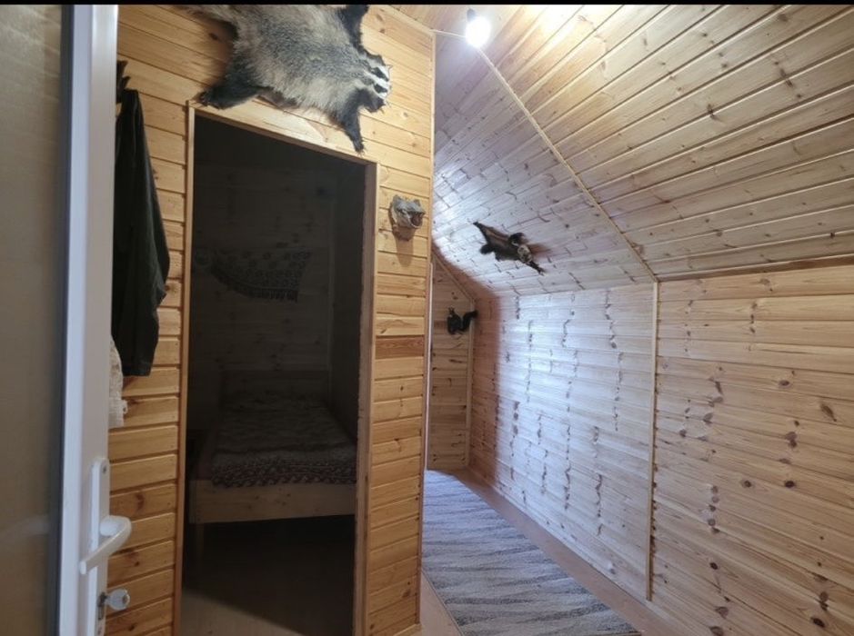 Cabana libera de craciun si revelion!