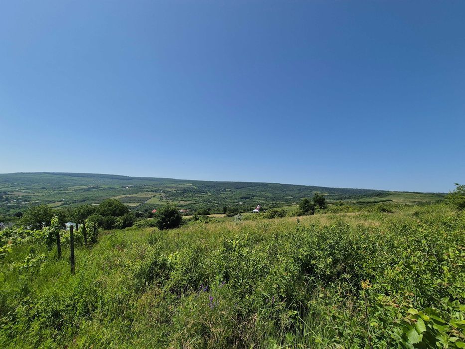 Teren intravilan Tomești-Goruni