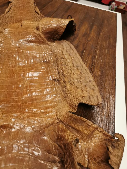 Обработена кожа 145 см.