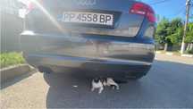 Нъплно оригинален стоков черен дифузьор за Audi a3 8p sportback