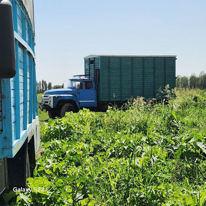 Zil sotiladi oladiganlar boʻlsa holati yaxshi matori ural radiator ura