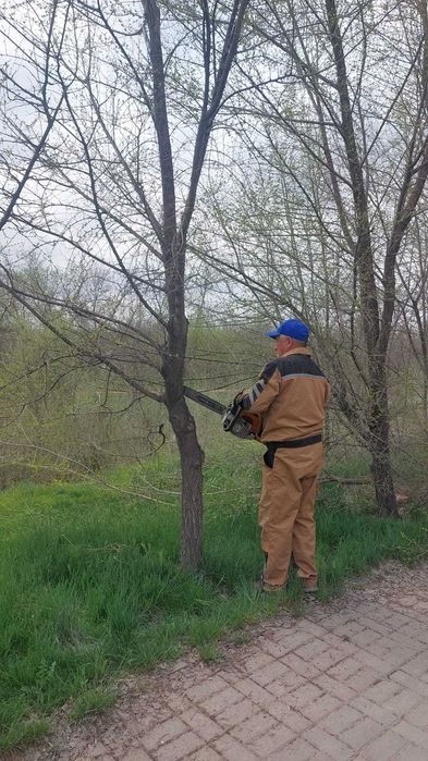 Формовка Деревьев. Пилим Деревья. Обрезка Веток. Стрижка Газона. Пилим