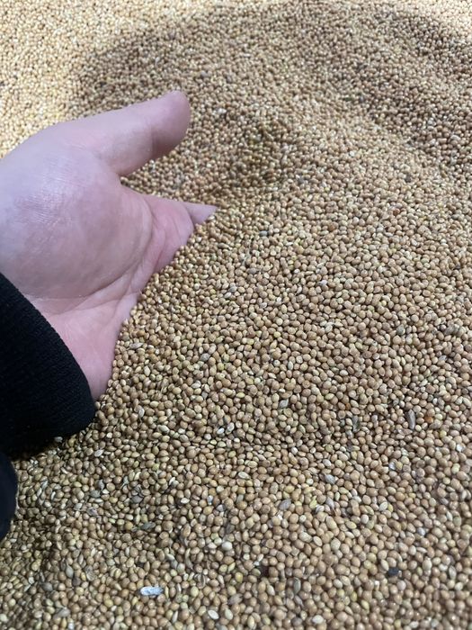 Пшено/тары отличное